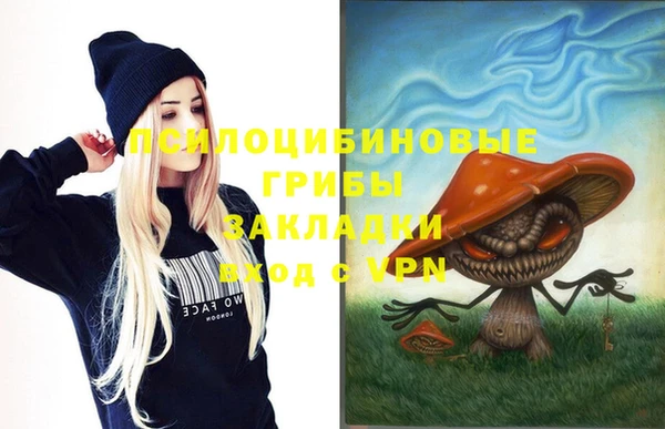 бошки Абаза